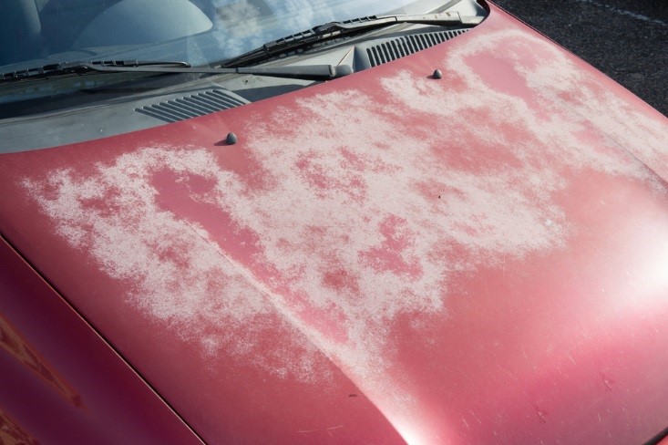 Как ультрафиолет влияет на краску авто